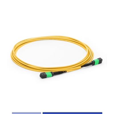 購入 12コア MTP® 光ファイバーパッチコード 女性 シングルモード G652D 10m ファイバーパッチケーブル OFNP B型 オンライン製造