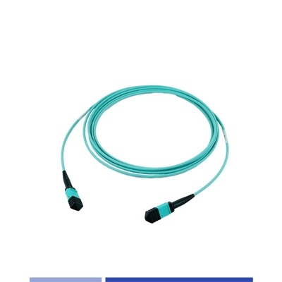 購入 12 ファイバー プレニウム MTP パッチコード マルチモード OM3 女性 3m B型 オンライン製造