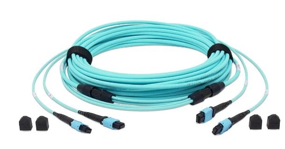 24 ファイバーOM3 MTP® ファイバーオプティックトランクケーブル 女性 OM3 マルチモード 3m LSZH